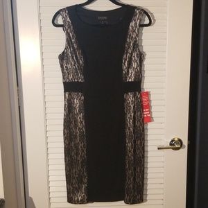 Lace Colorblock Dress